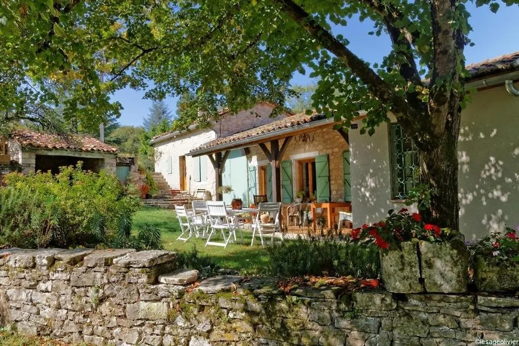 Bed and Breakfast Alabrena Feneyrols